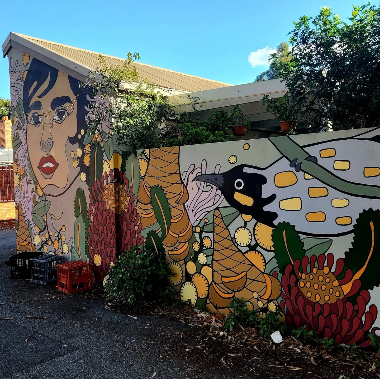 Mount Lawley