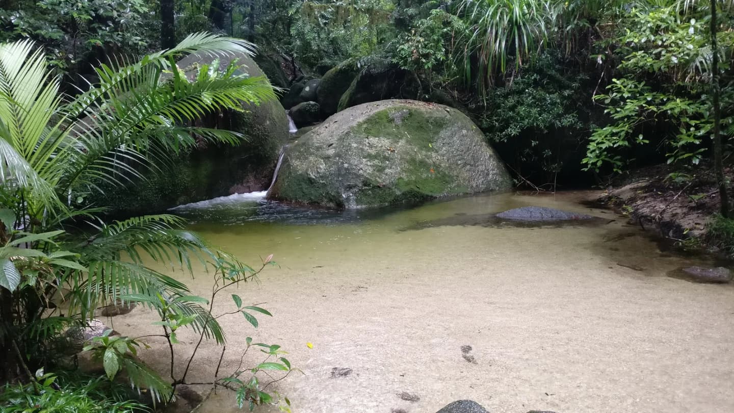 Mossman