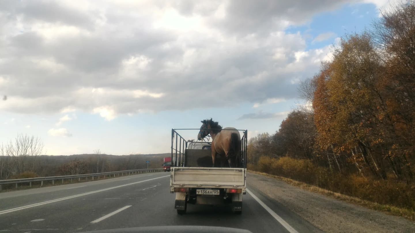 Vol’no-Nadezhdinskoye