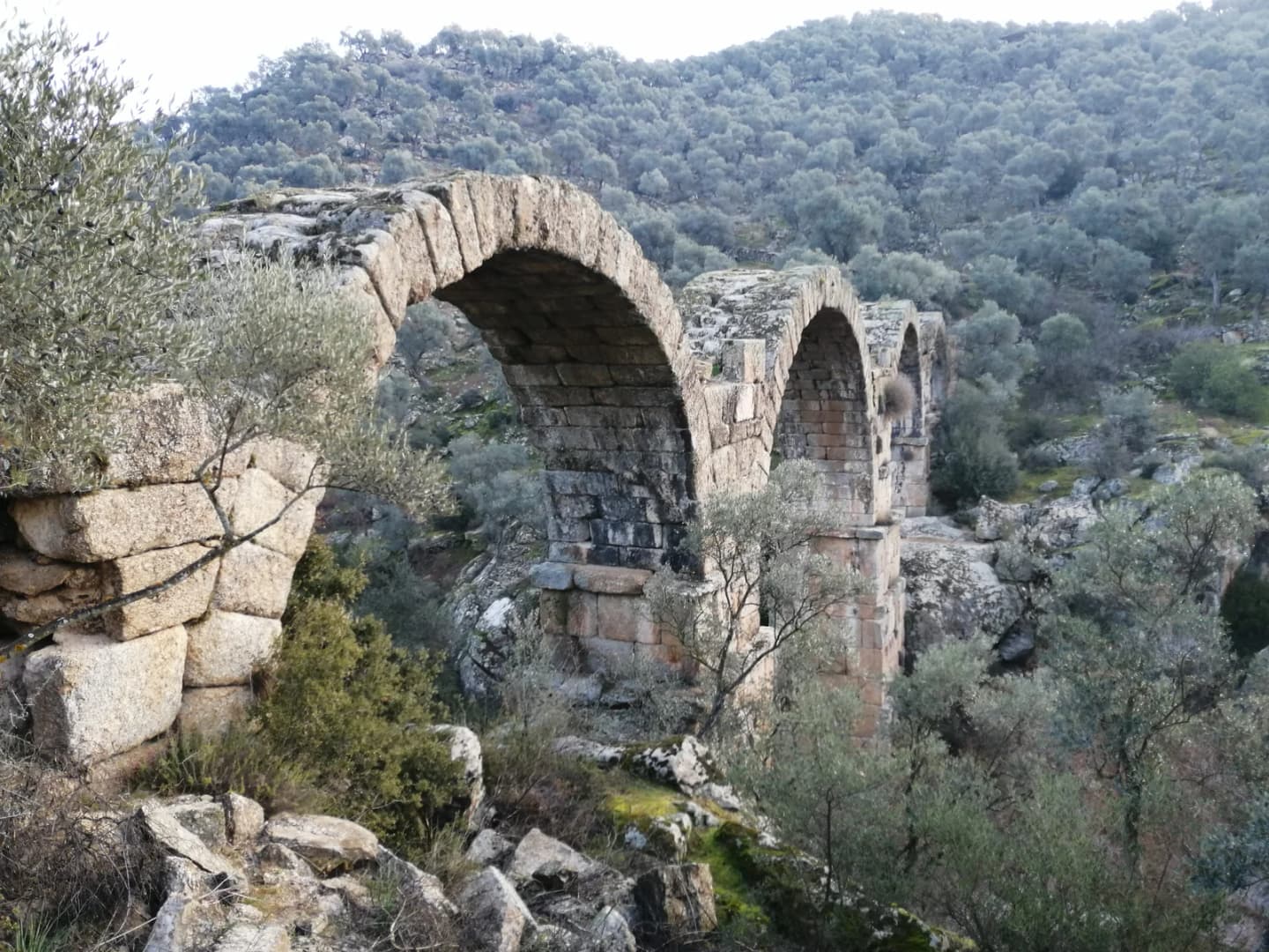Kargı
