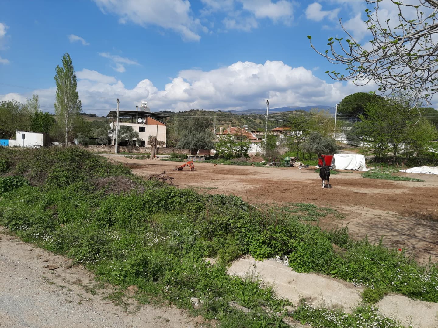 Eskiçine