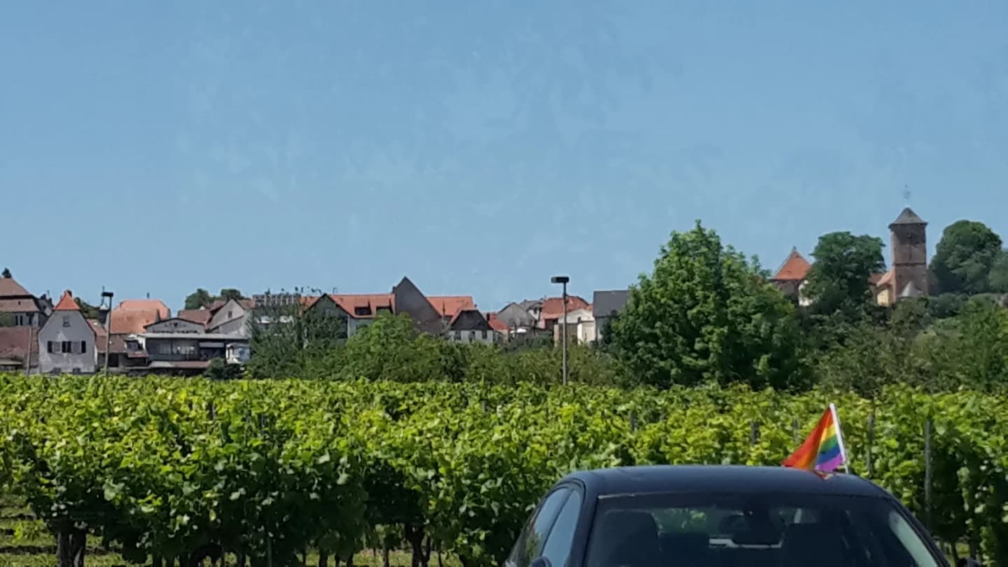 Herxheim am Berg
