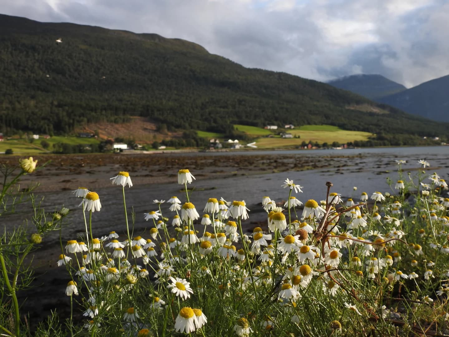 Eidsvåg