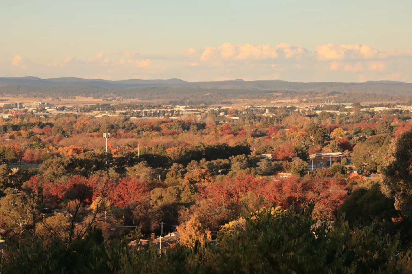 Narrabundah