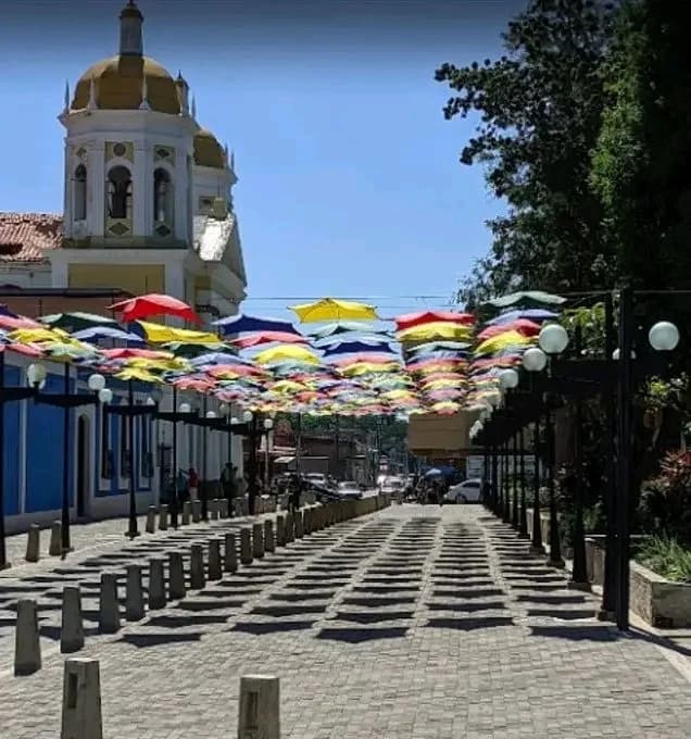 Guacara