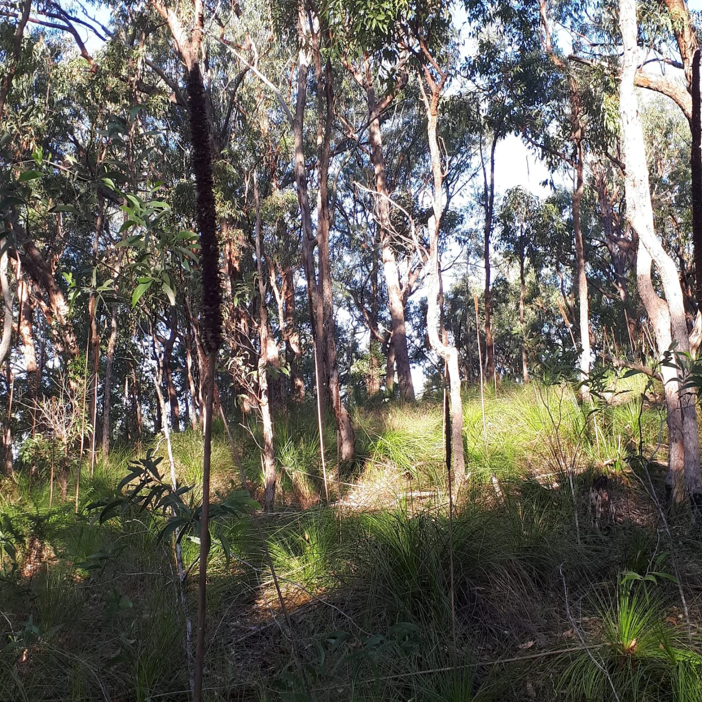 Redland Bay
