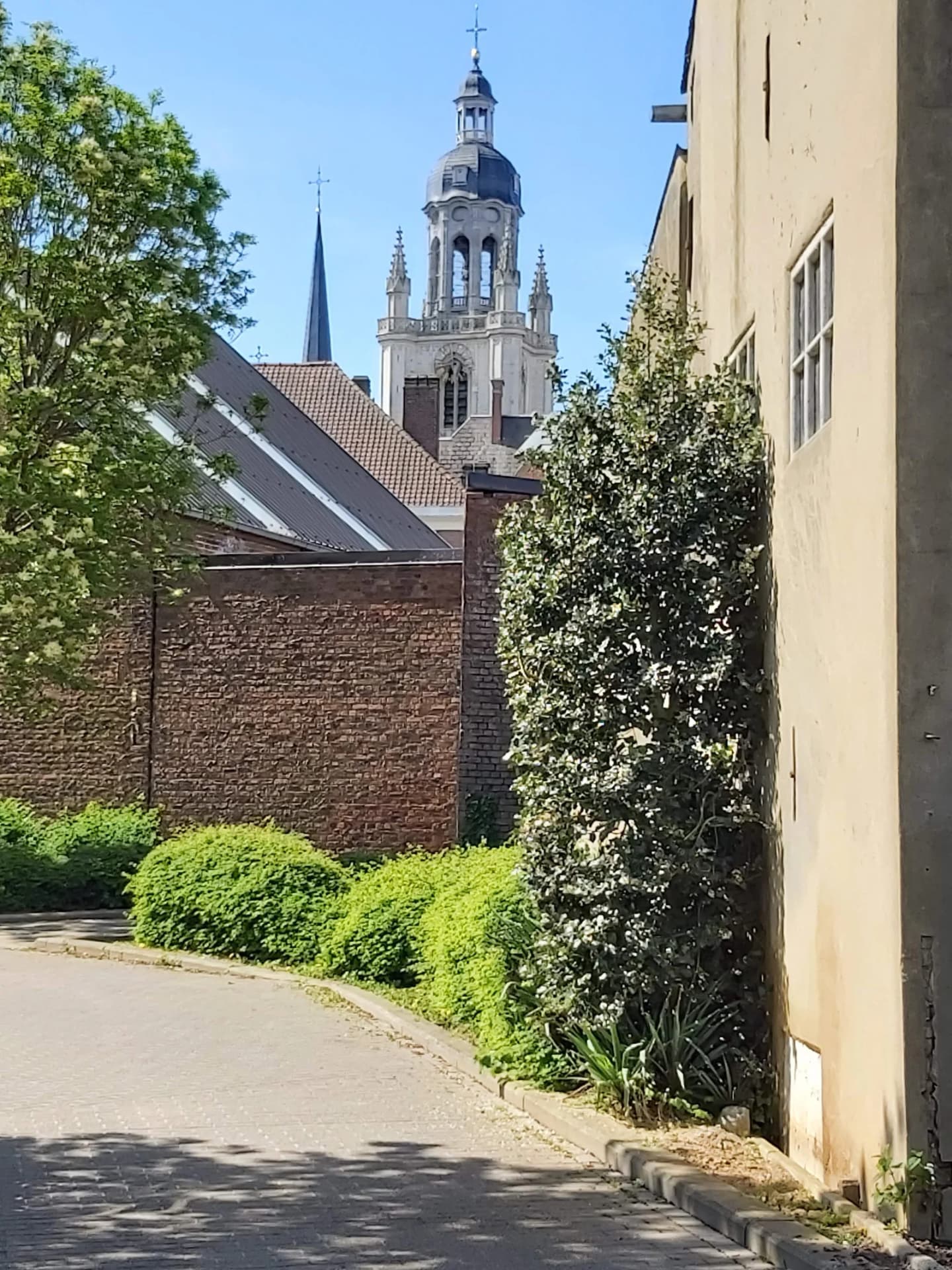 Sint-Pieters-Leeuw