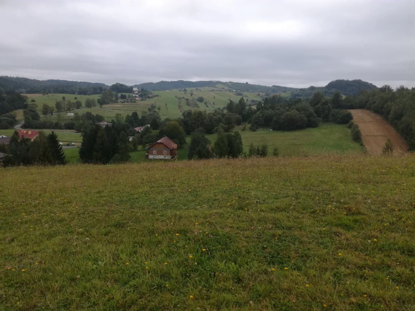 Tarnawa Górna