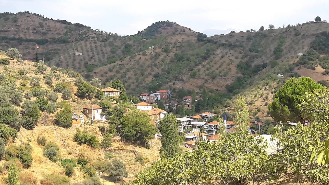 İsafakılar