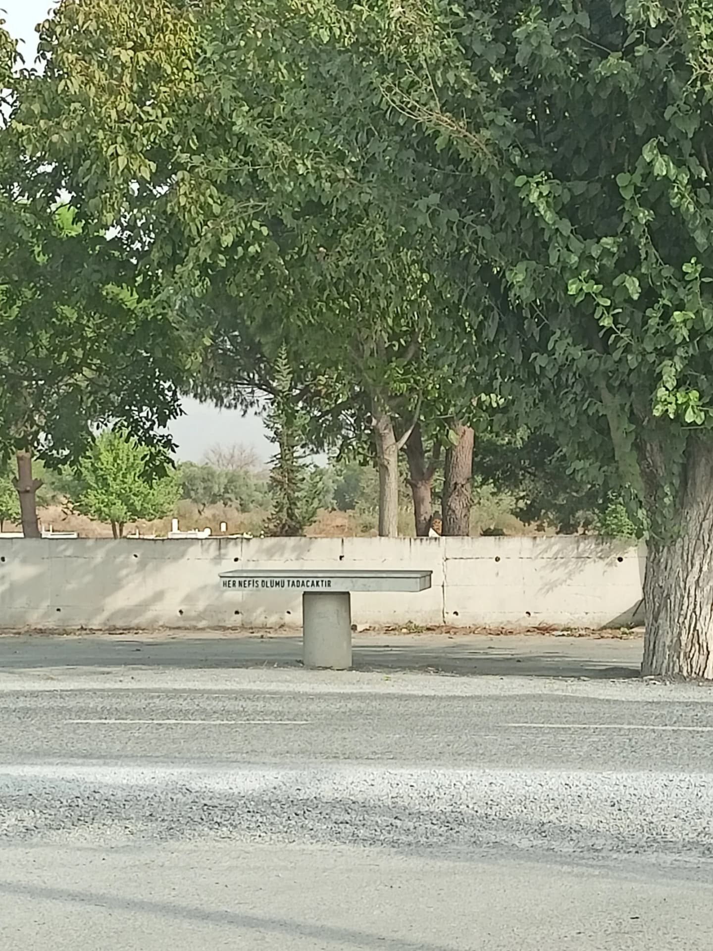 Çakmar