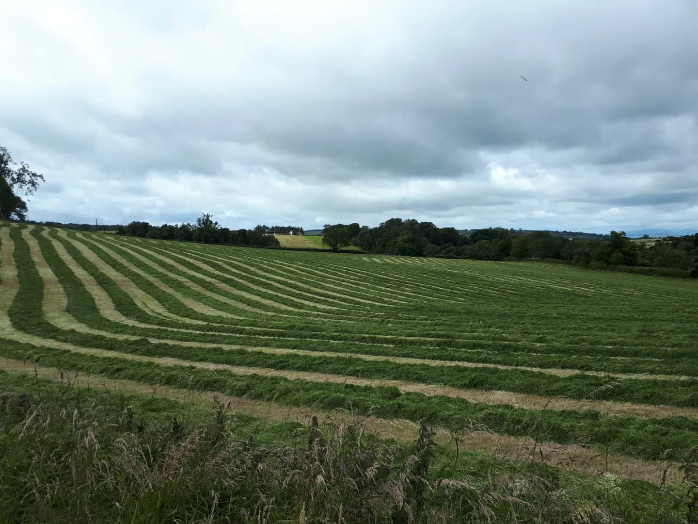 Neilston