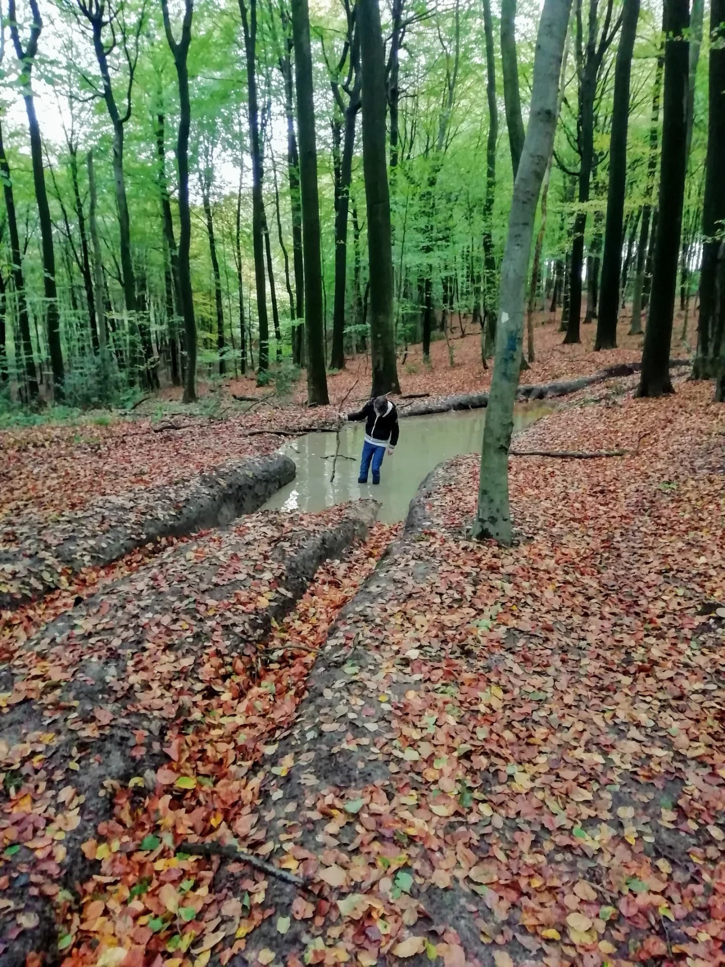Frasnes-lez-Buissenal