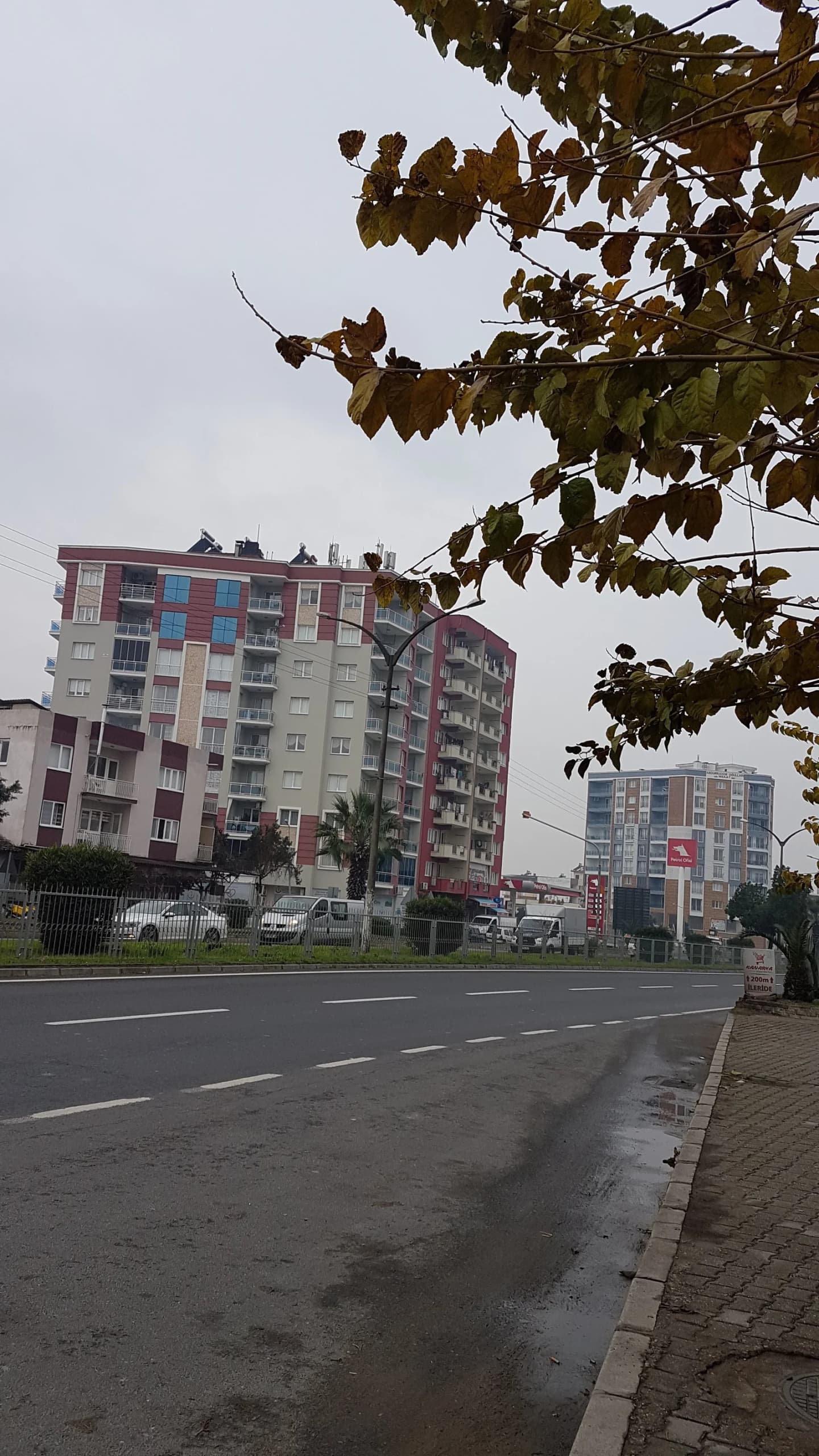 Kocagür
