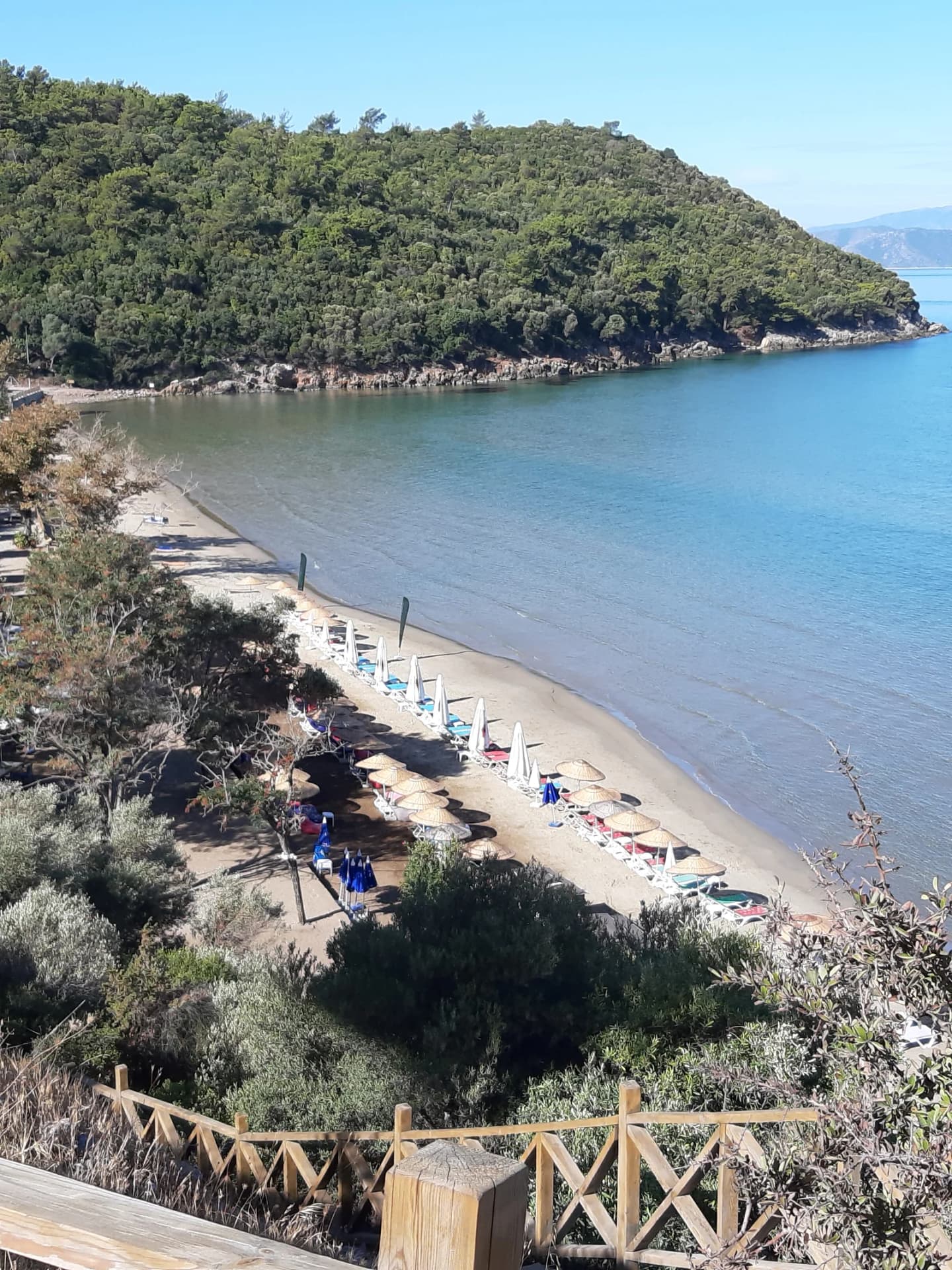 Güzelçamlı