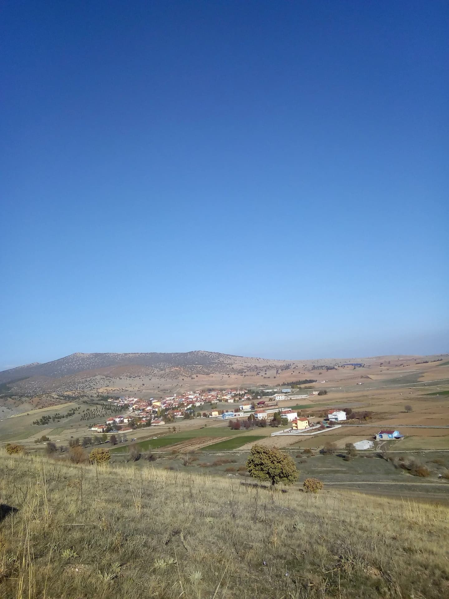 Çevrepınar