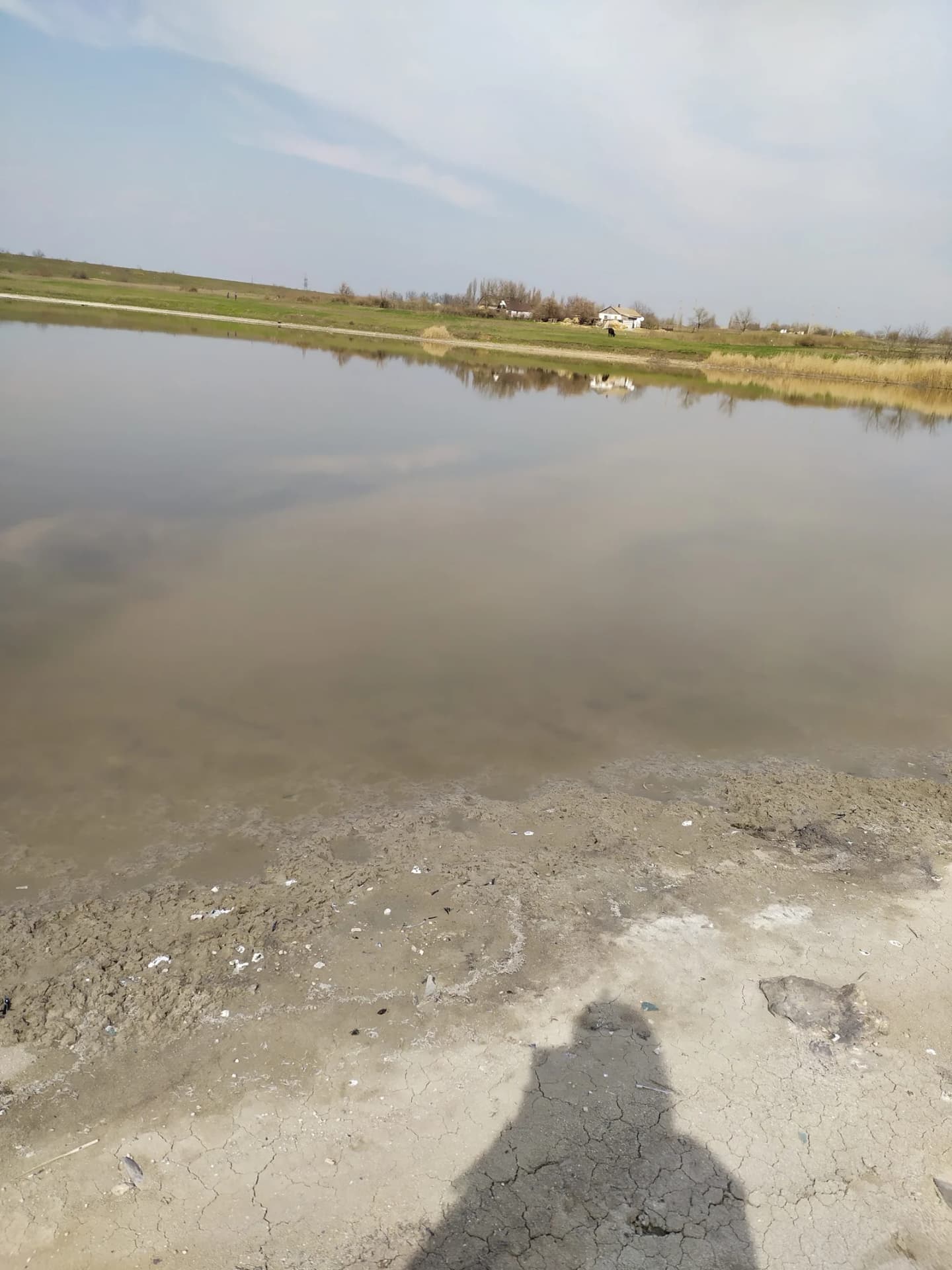 Novopetrivka