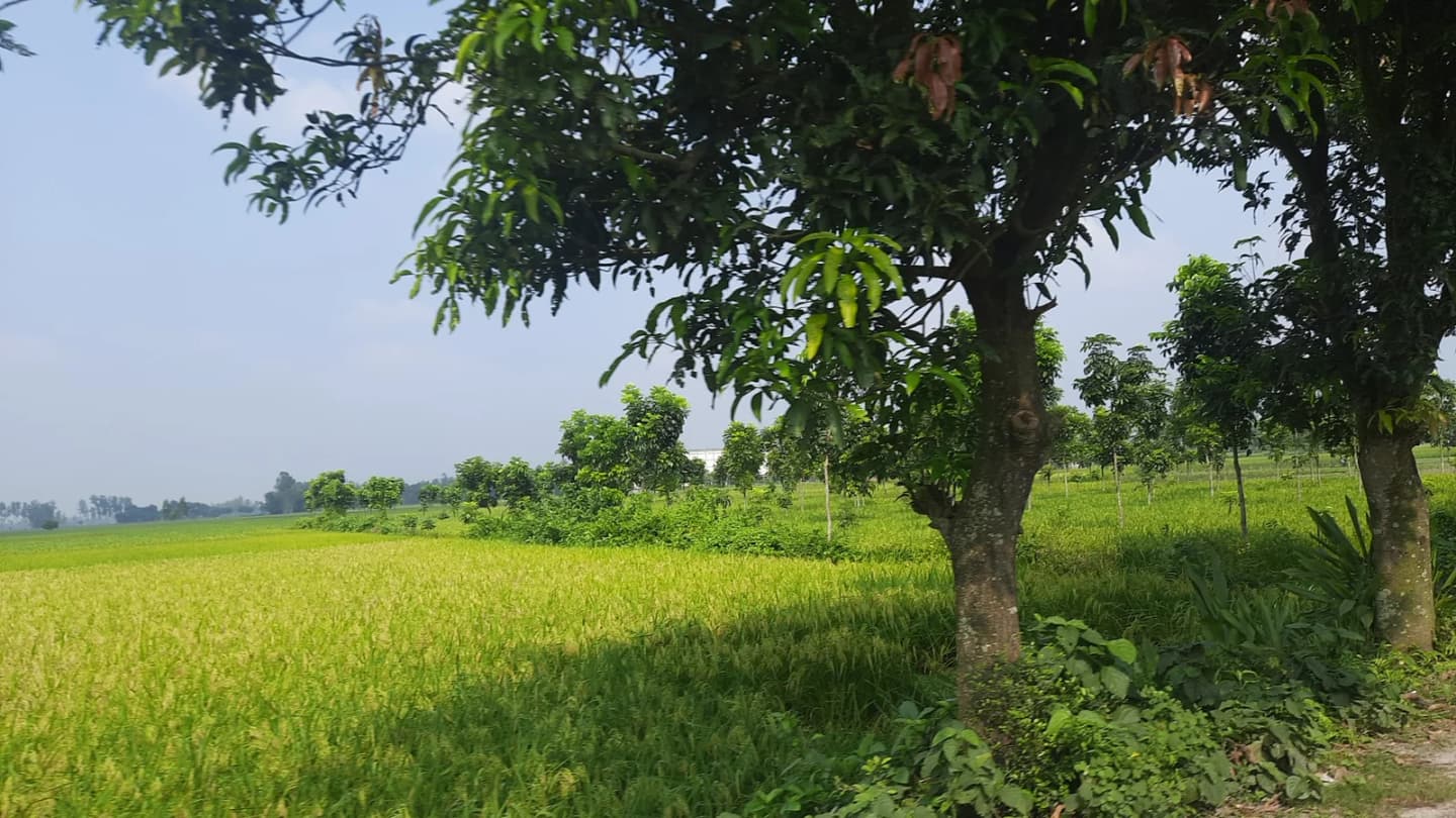 Badarganj