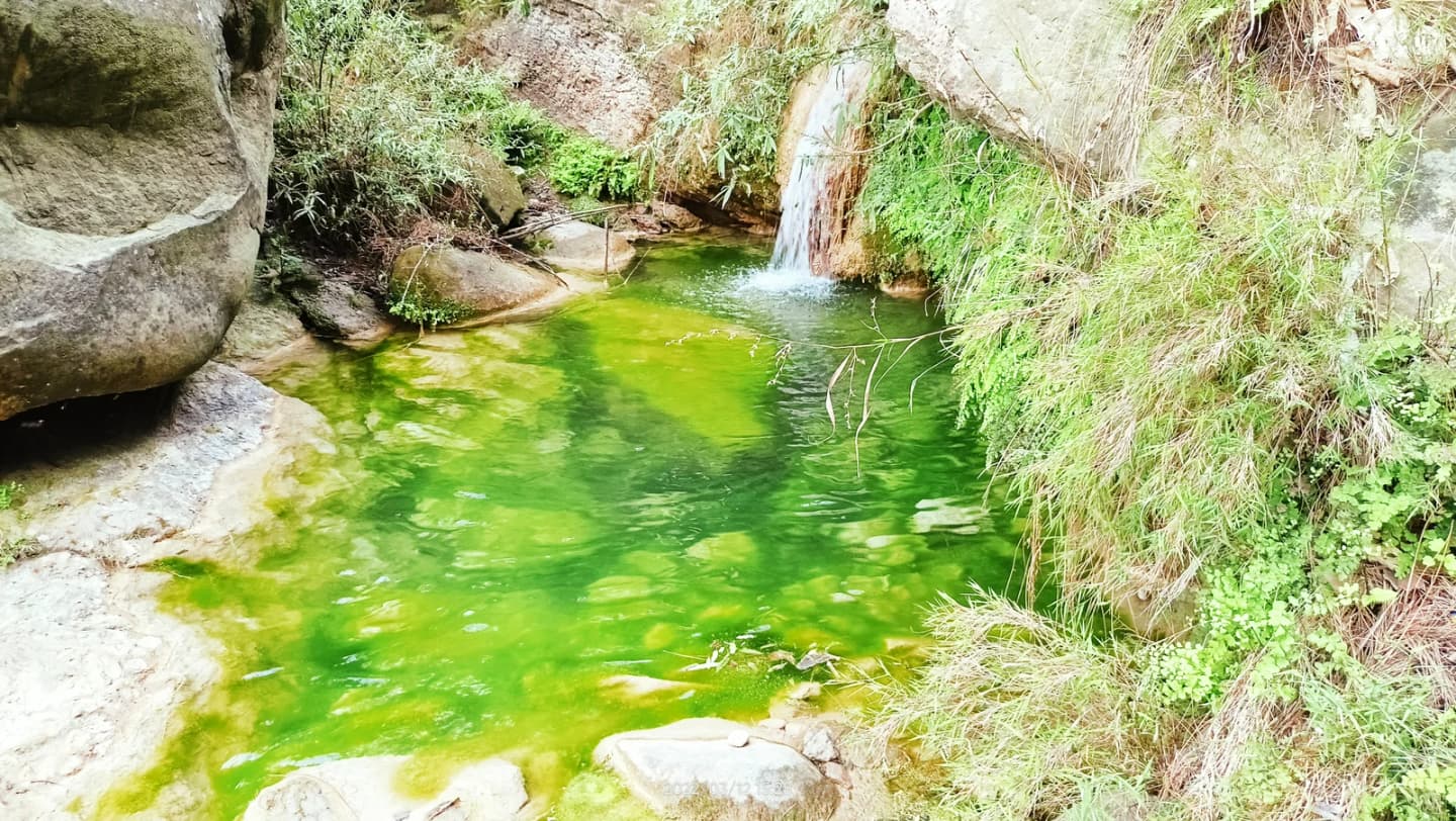 Bhimber