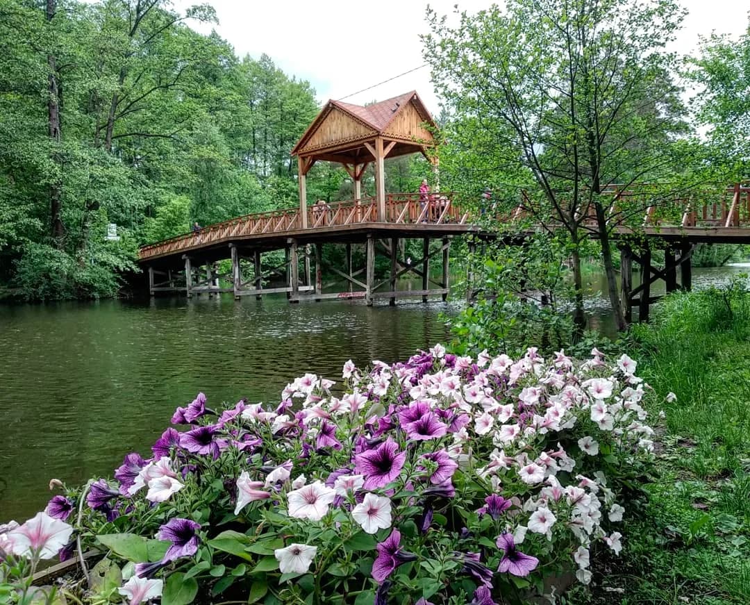 Pushcha-Vodytsya