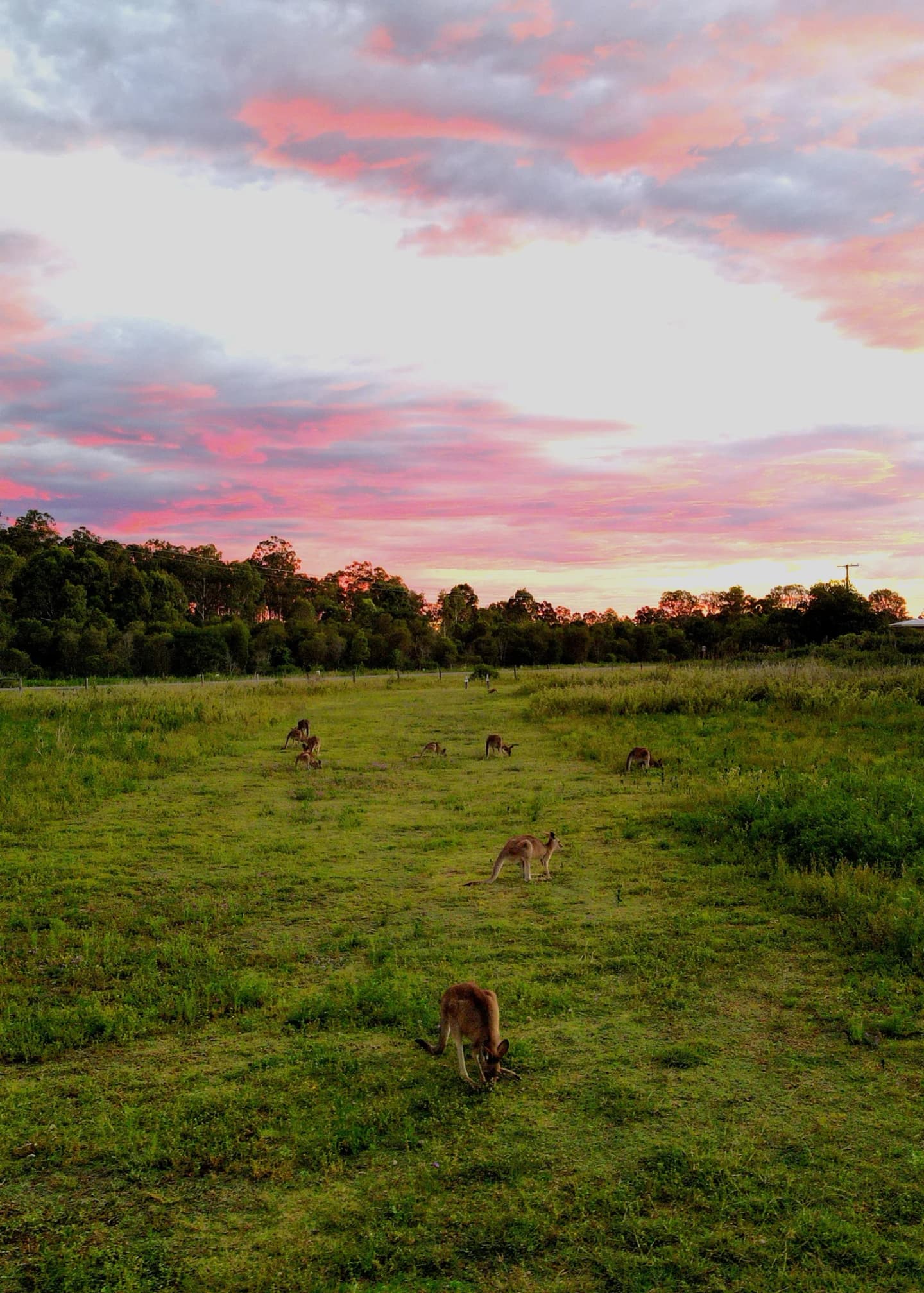 Wacol