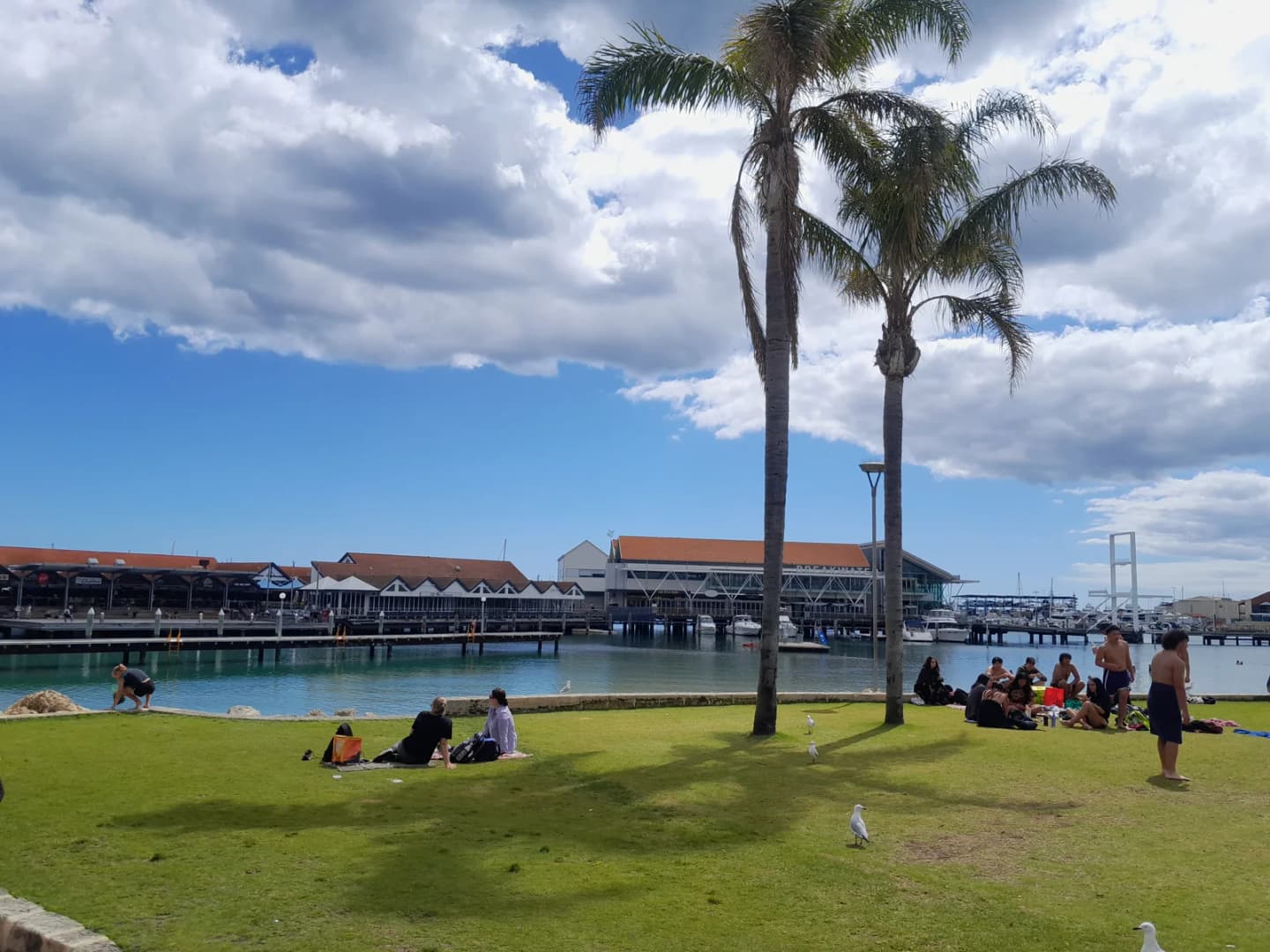 Hillarys