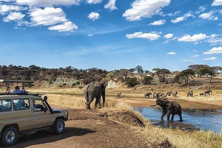 9-Days Discover Kenya Private Safari