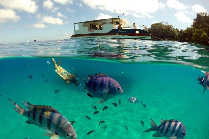 Boat Cruise and Sancho Bay Swim from Fernando de Noronha