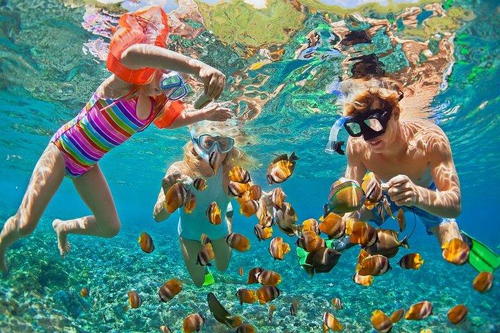 Oahu Circle Island Snorkeling Tour: Dole, Pali Lookout & More