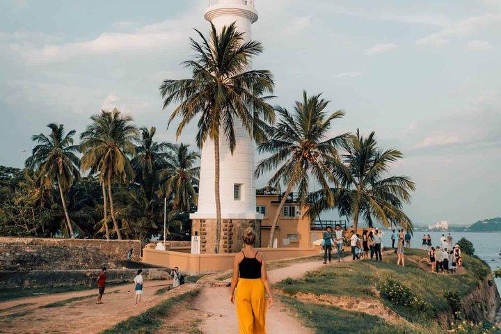 Southern Sri Lanka Sightseeing Day Trip From Colombo & Negombo