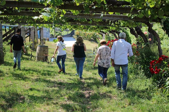 Guided tour of Bodegas Granbazán