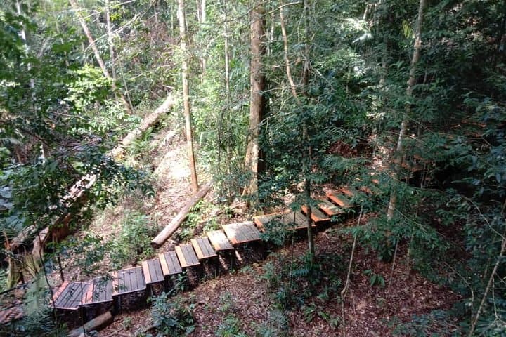 Taman Negara National Park Trek Day Tour (SIC/shared tour)