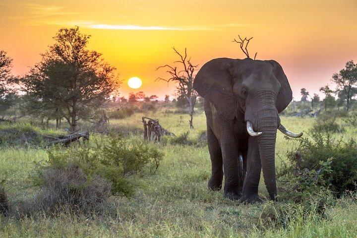3 Day Kruger National Park Safari & Panorama Route