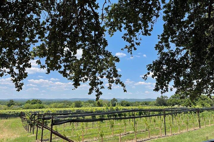 Fredericksburg Texas Area Wine Tastings: 3 Wineries and Lunch