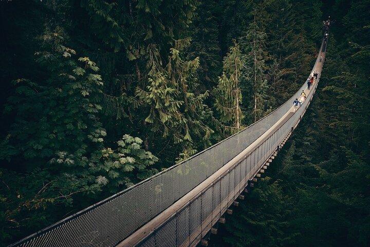 Vancouver Small Group Night Tour w/Capilano + Grouse Mtn Dinner