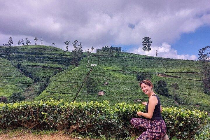 Private Nuwara Eliya City Tour Including Main Attractions