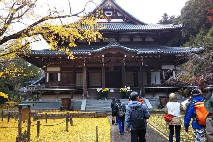 Private Sake Brewery Tour and Shinran Temple Visit