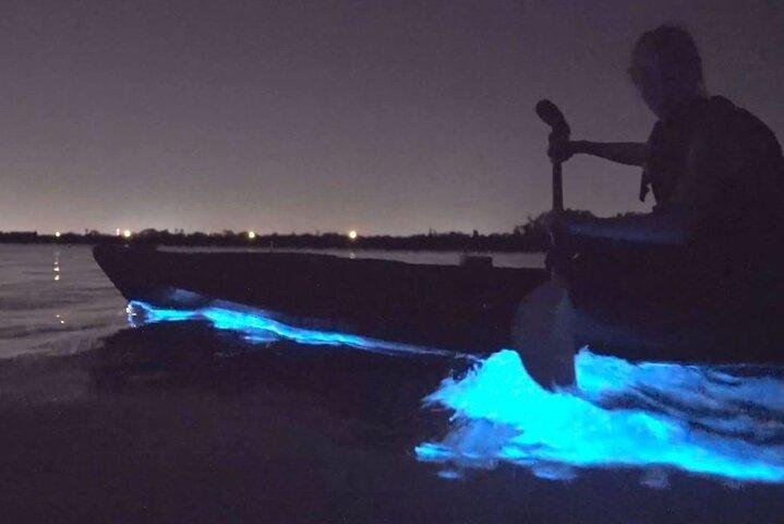 Bioluminescence Clear Kayak & Paddleboard Tour – Near Orlando