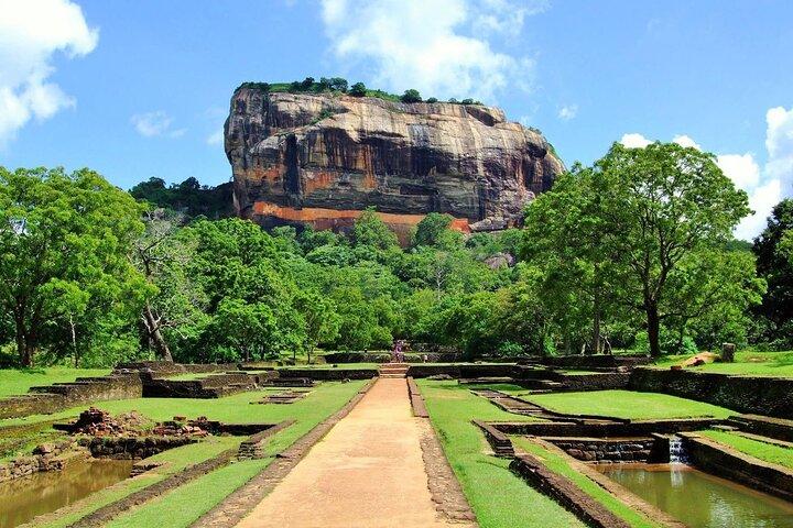 Sigiriya Hike & Minneriya Safari Private Full Day Tour