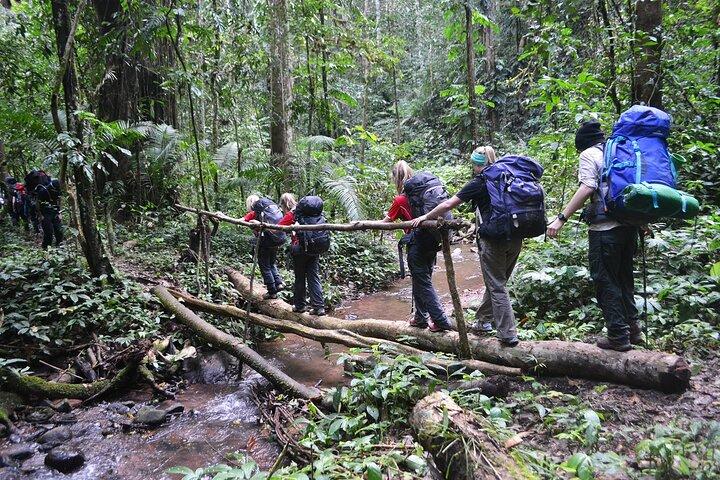 Nalan Trail and Khmu Tribe: 2 Days Trek in Nam Ha NPA