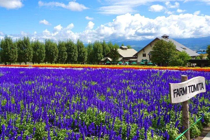 Hokkaido Day Tour Farm Tomita, Blue Pond, Blue Pond and Buffet