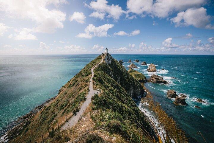 Invercargill to Dunedin via the Catlins Small Group 1 Way Tour