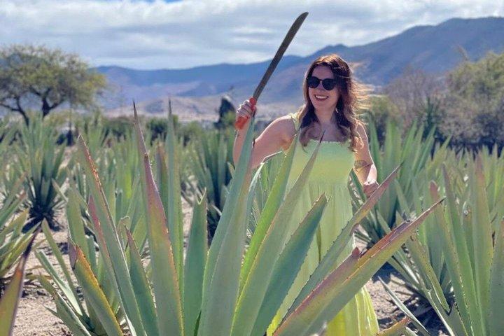 Oaxaca Countryside: Textiles, Agave Fields, Mezcal & Local Food