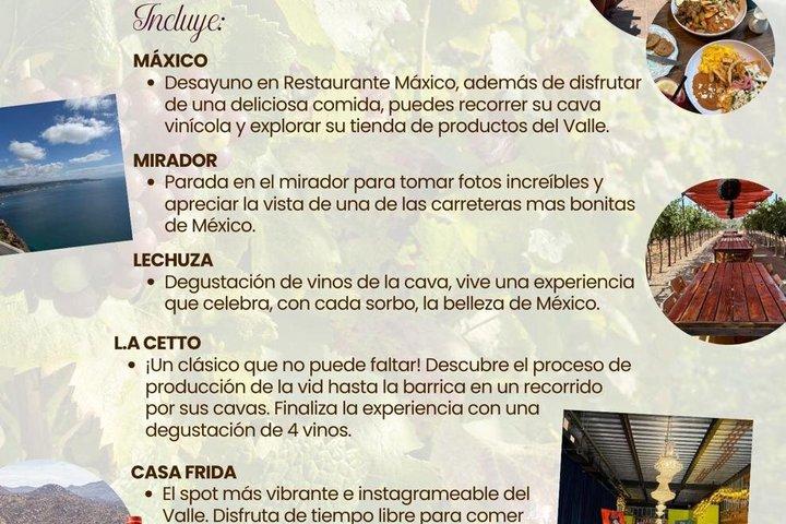 The most fun wine tour of the Guadalupe Valley