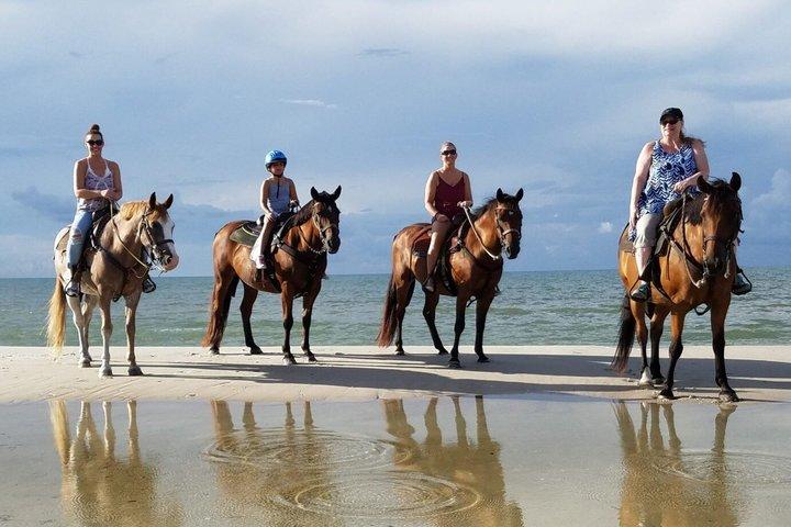 Horseback Riding, River Tubing, Lunch, Shopping Ocho Rios Jamaica