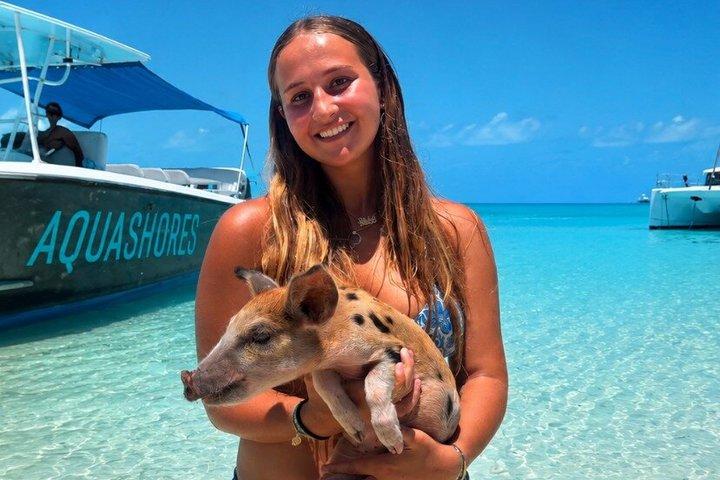Exuma Powerboat Tour from Nassau with Swimming Pigs