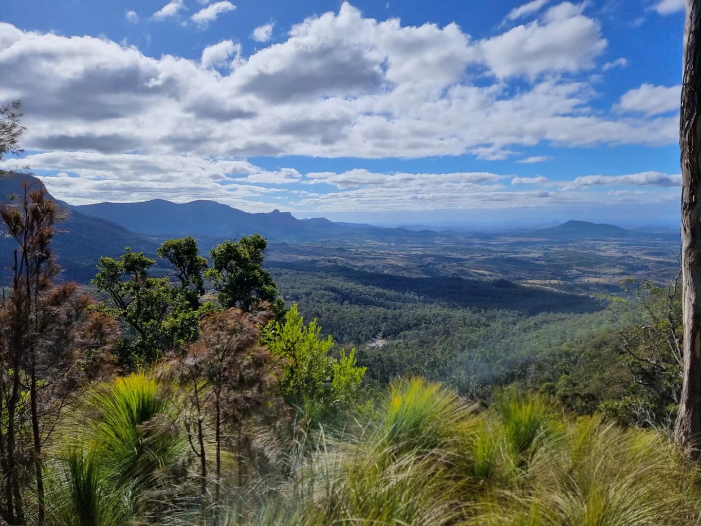 Main Range National Park | Travel Guide | TravelPal