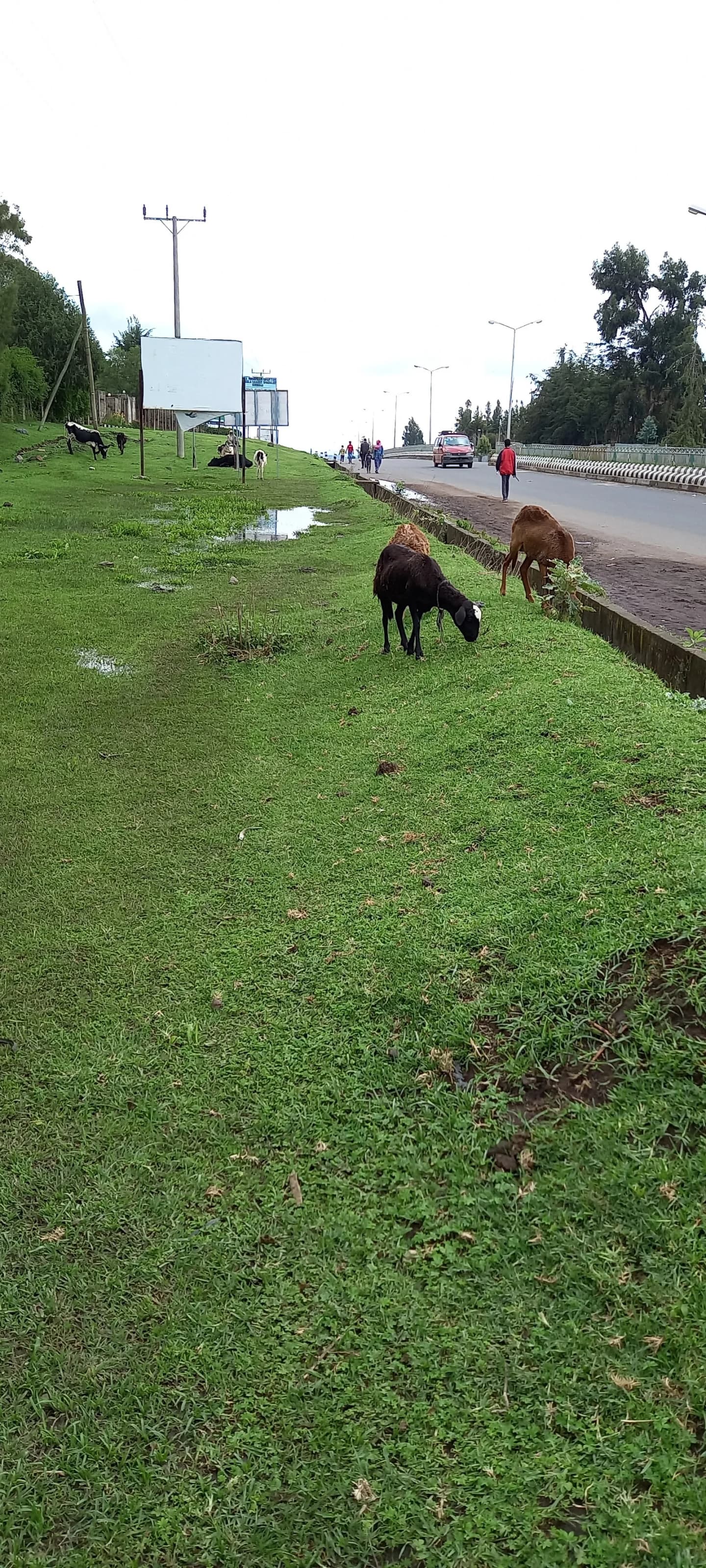 Bale Robe Rtc Bale Robe City Guide | Things to Do & Travel Tips | TravelPal