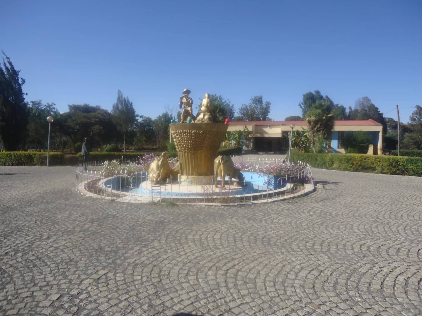 Bale Robe Bale Robe City Guide | Things to Do & Travel Tips | TravelPal